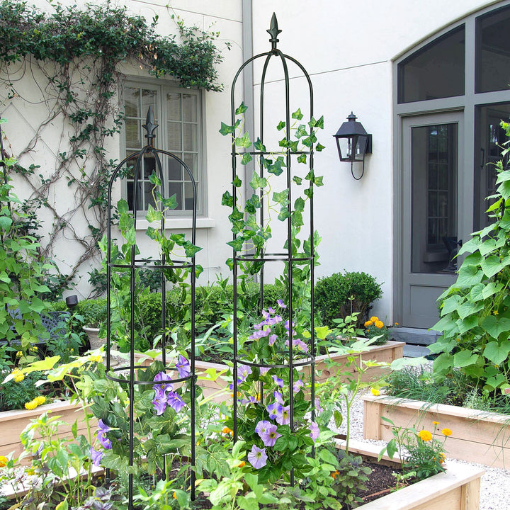 6.2 ft tall black garden obelisk trellis supporting climbing plants in flower bed