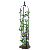 6.2 ft tall black garden obelisk trellis supporting climbing plants in flower bed - detail view