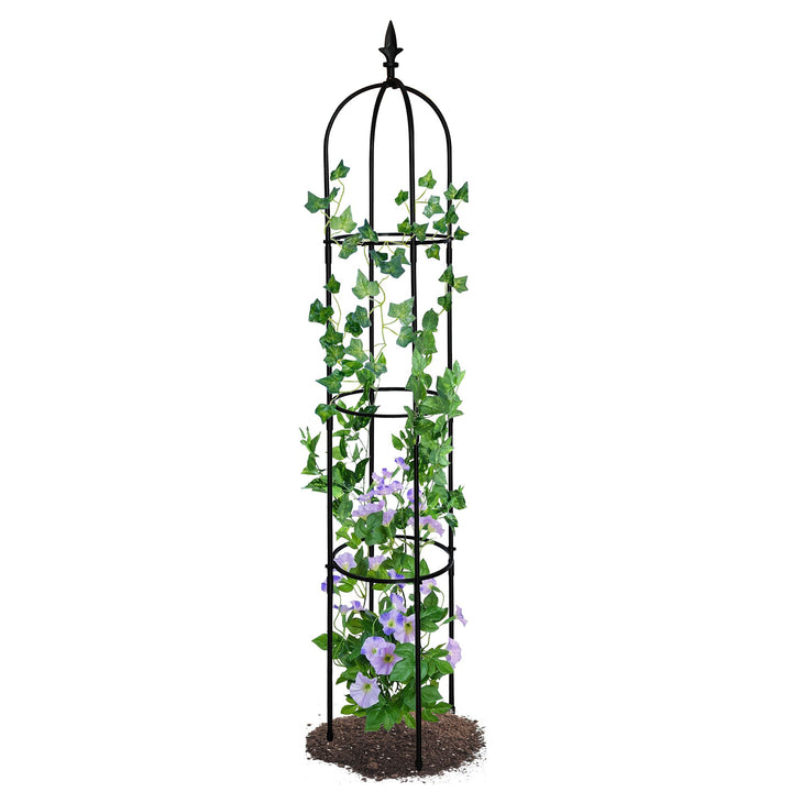 6.2 ft tall black garden obelisk trellis supporting climbing plants in flower bed - detail view