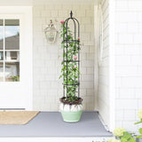 6.2 ft tall black garden obelisk trellis supporting climbing plants in flower bed - close-up detail