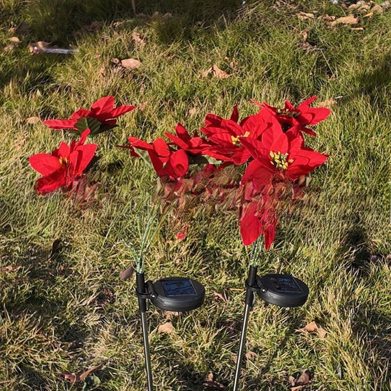 Solar Poinsettia Garden Lights Outdoor & Pond Lighting product image 3