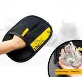 Pet grooming glove pulling loose fur from dog coat
