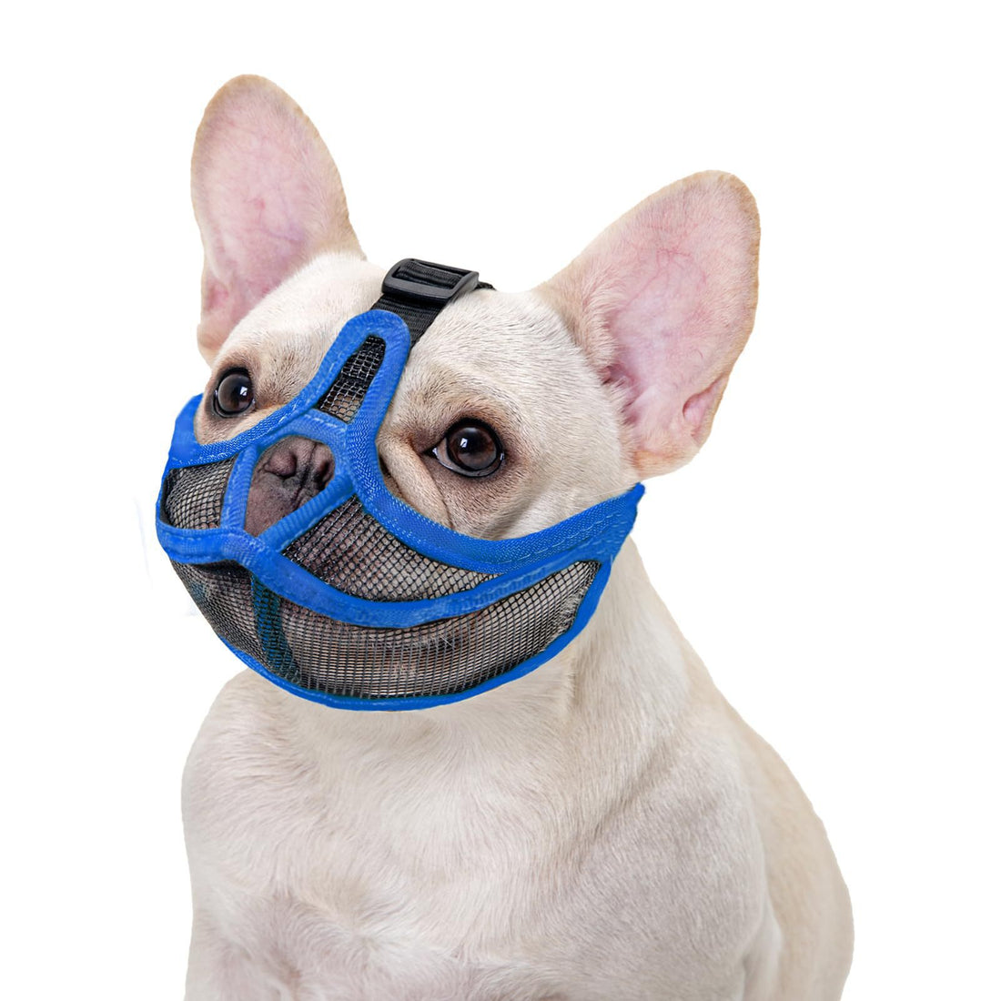 Breathable Dog Muzzle for French Bulldog Pug Anti Biting Pet Mask