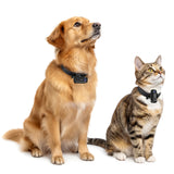 Portable Neck Hanging Camera with Magnetic Mount