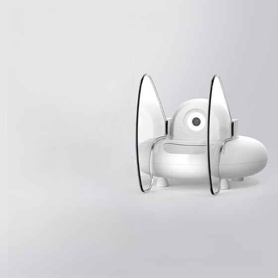 Automatic Pet Feeder