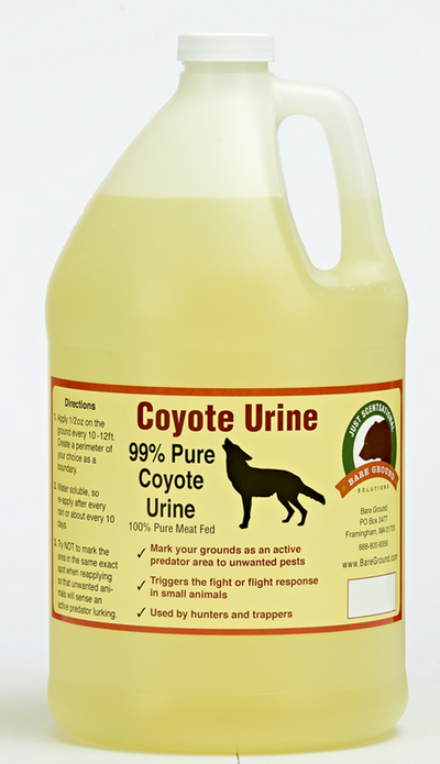 Coyote Urine Predator Scent, One Gallon