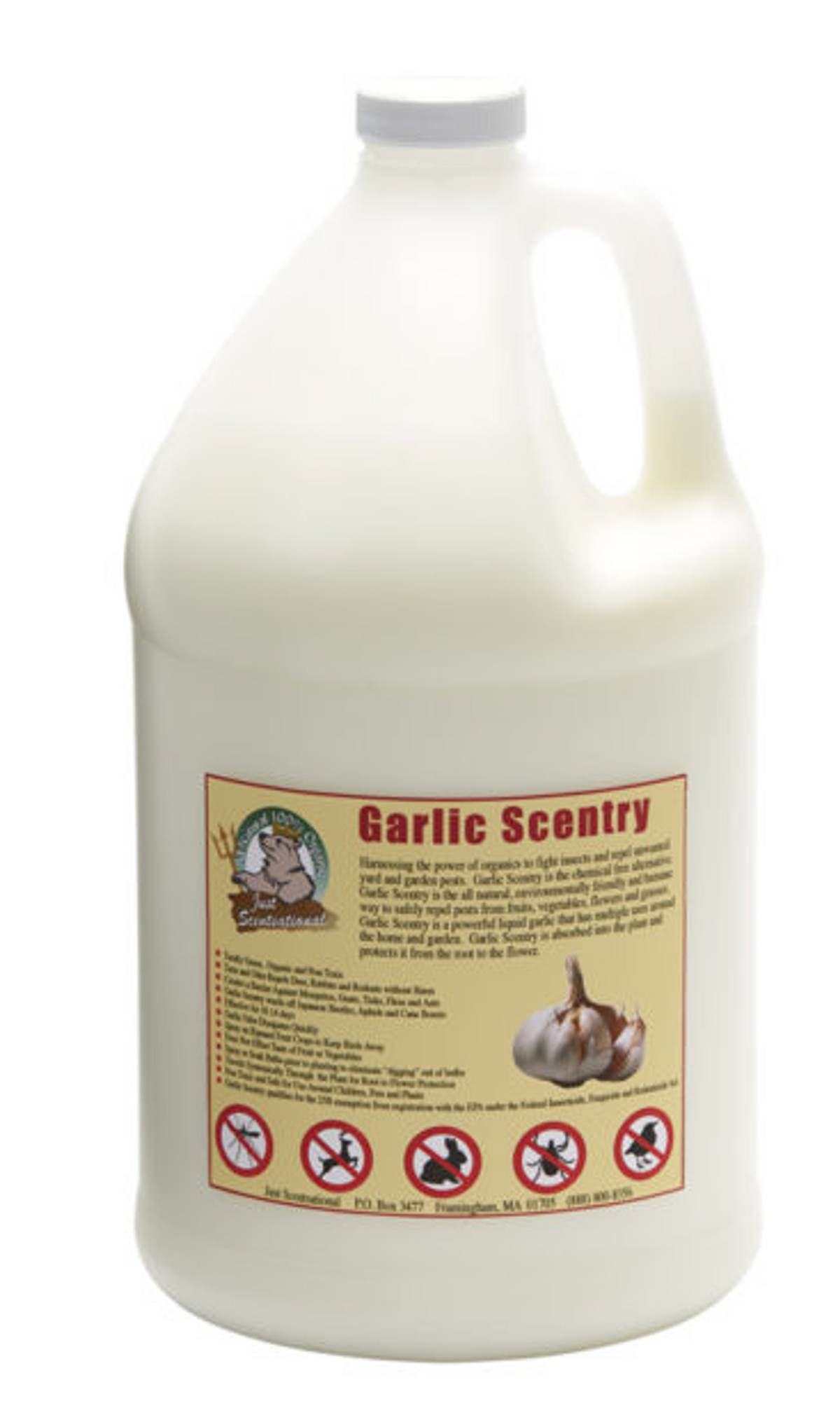 Just Scentsational Garlic Scentry, 1 Gallon