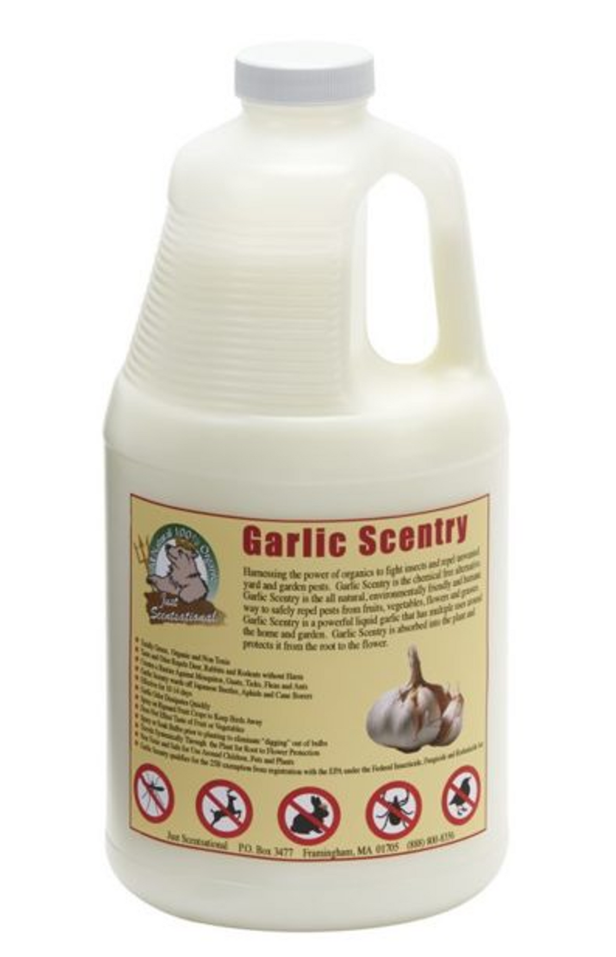 Just Scentsational Garlic Scentry Concentrate, Half Gallon