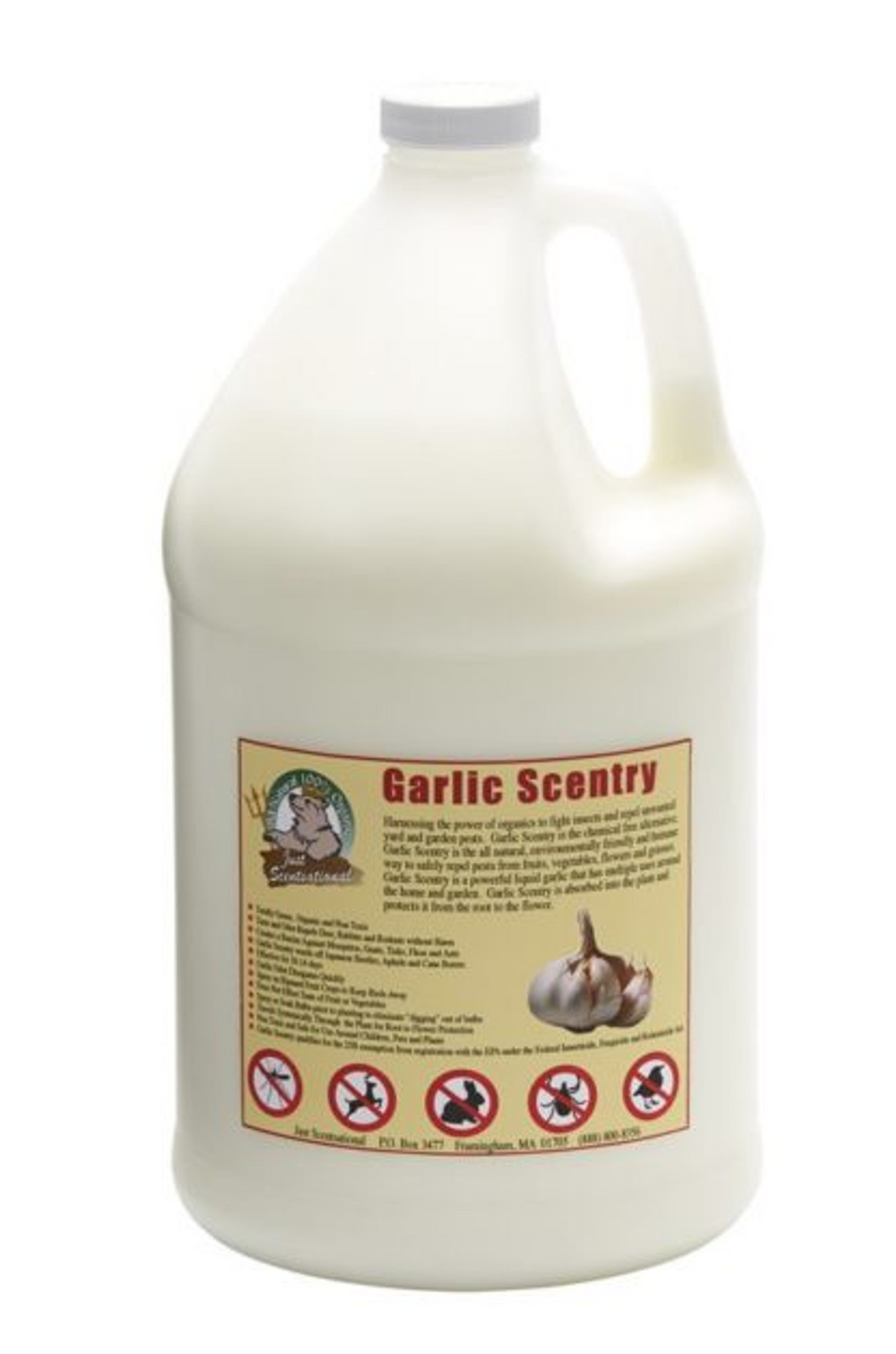 Just Scentsational Garlic Scentry Concentrate, 1 Gallon