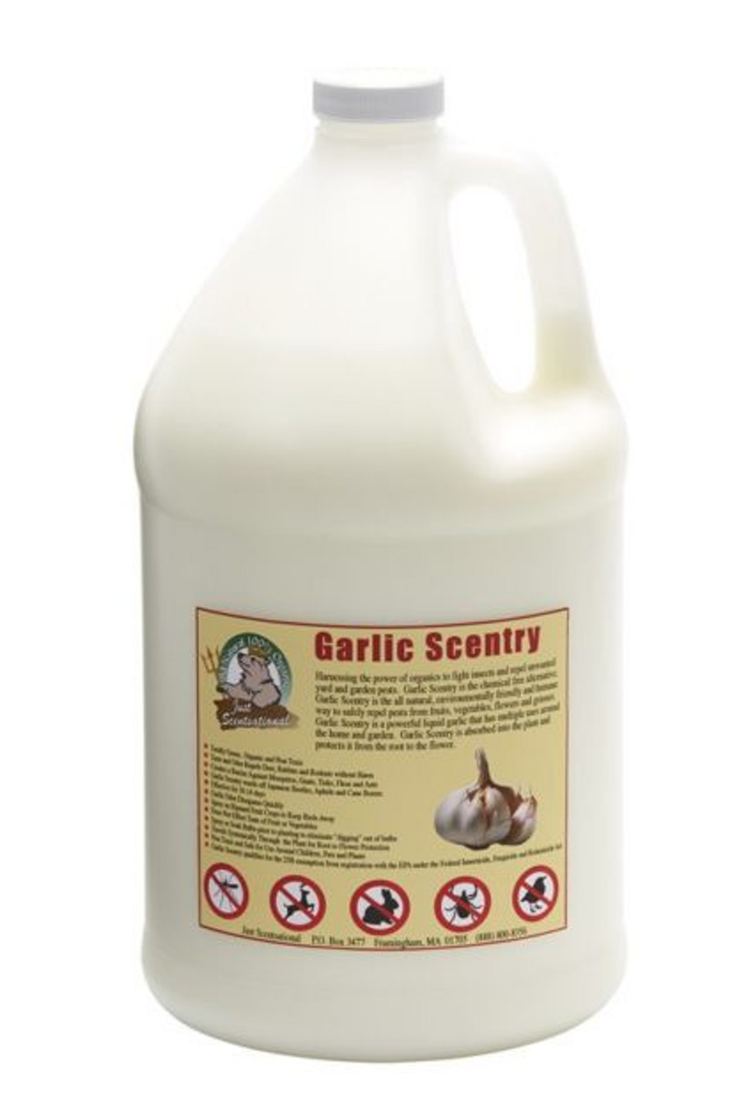 Just Scentsational Garlic Scentry Concentrate, 1 Gallon