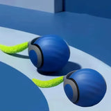 Interactive Cat Toys Ball Automatic Small Tail Rolling Ball Rechargeable Portable Pet Toys Pet Kittens Teaser Game Toys