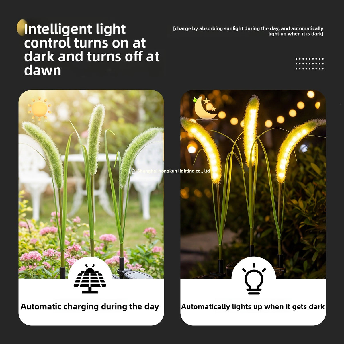 Solar Powered Outdoor Lawn Lights