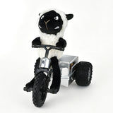 Remote Control Car