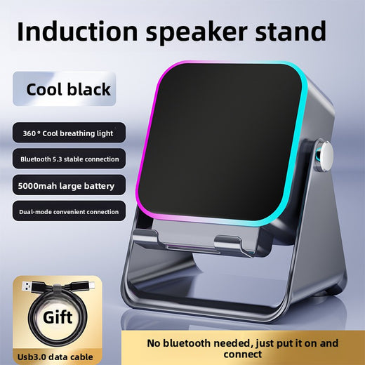 Wireless Bluetooth Speaker with Dual Sound