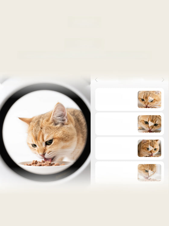 Automatic Pet Feeder