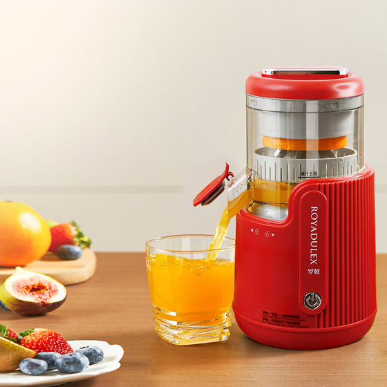 Electric Juice Extractor product image 5