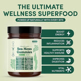 Seaweed Vitamin Gummies Immunity Support