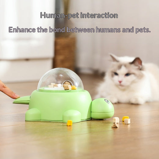 Turtle puzzle pet feeder