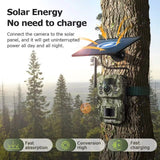 Wildlife Trail Camera with Night Vision