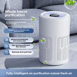 Desktop Air Purifier with HEPA Filter