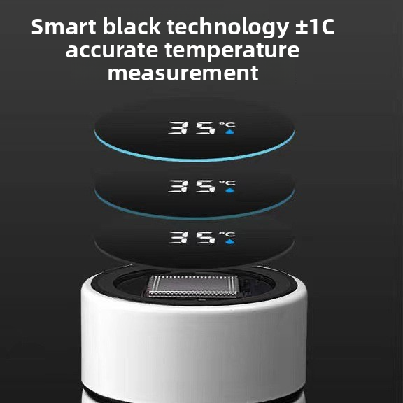 Stainless steel insulated tea bottle with LED temperature lid, photo 2