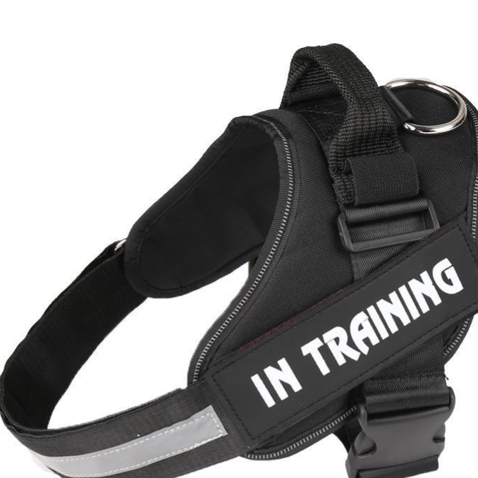 Pet chest and back reflective strip