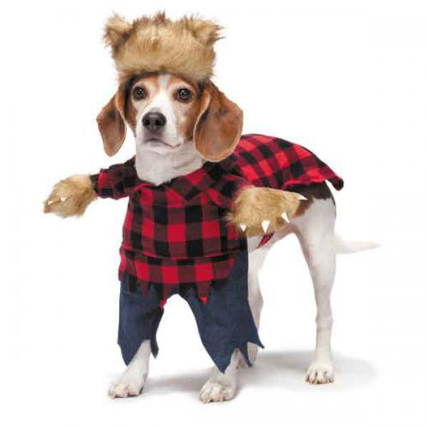 Zack & Zoey Werewolf Dog Costume