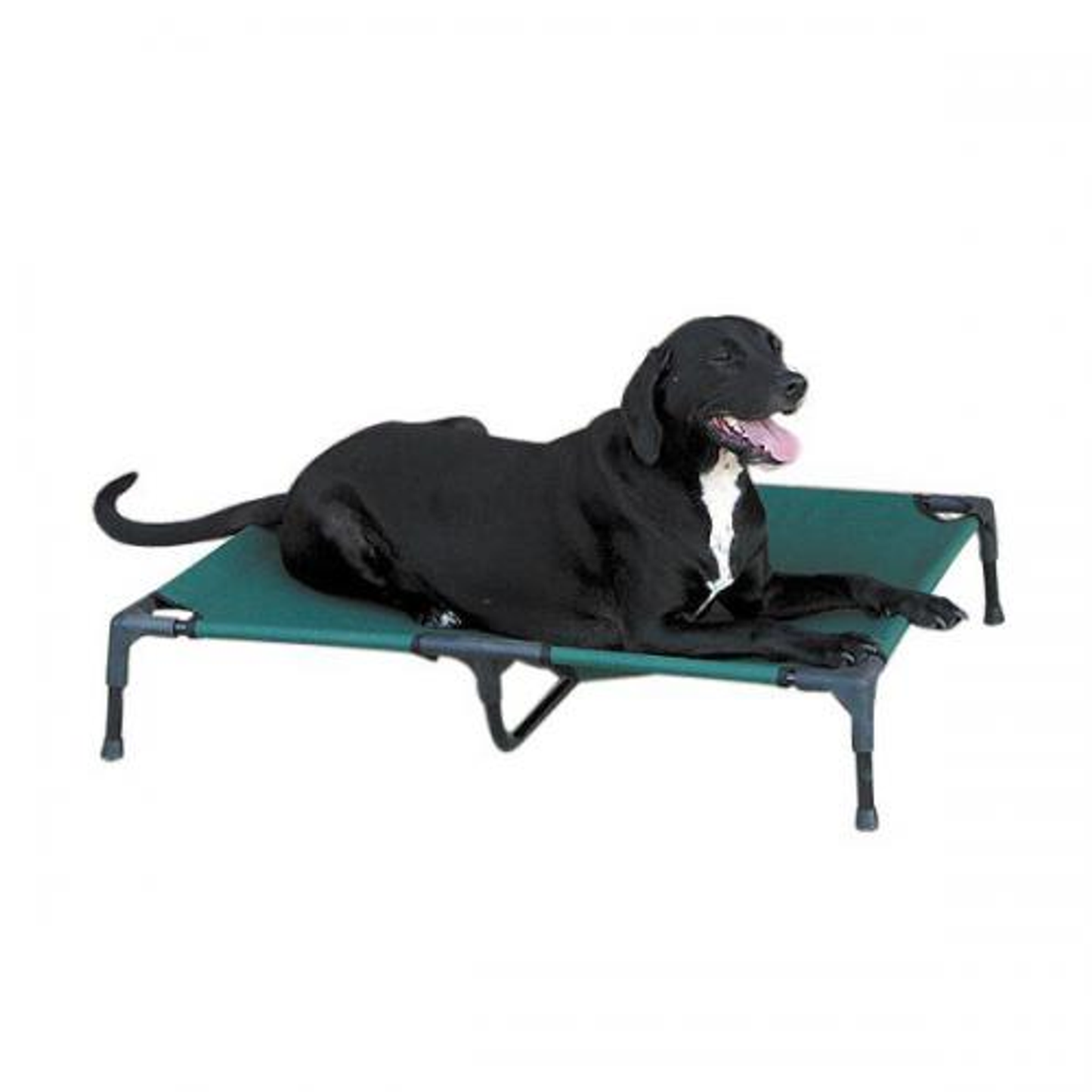 Guardian Gear Elevated Pet Cot