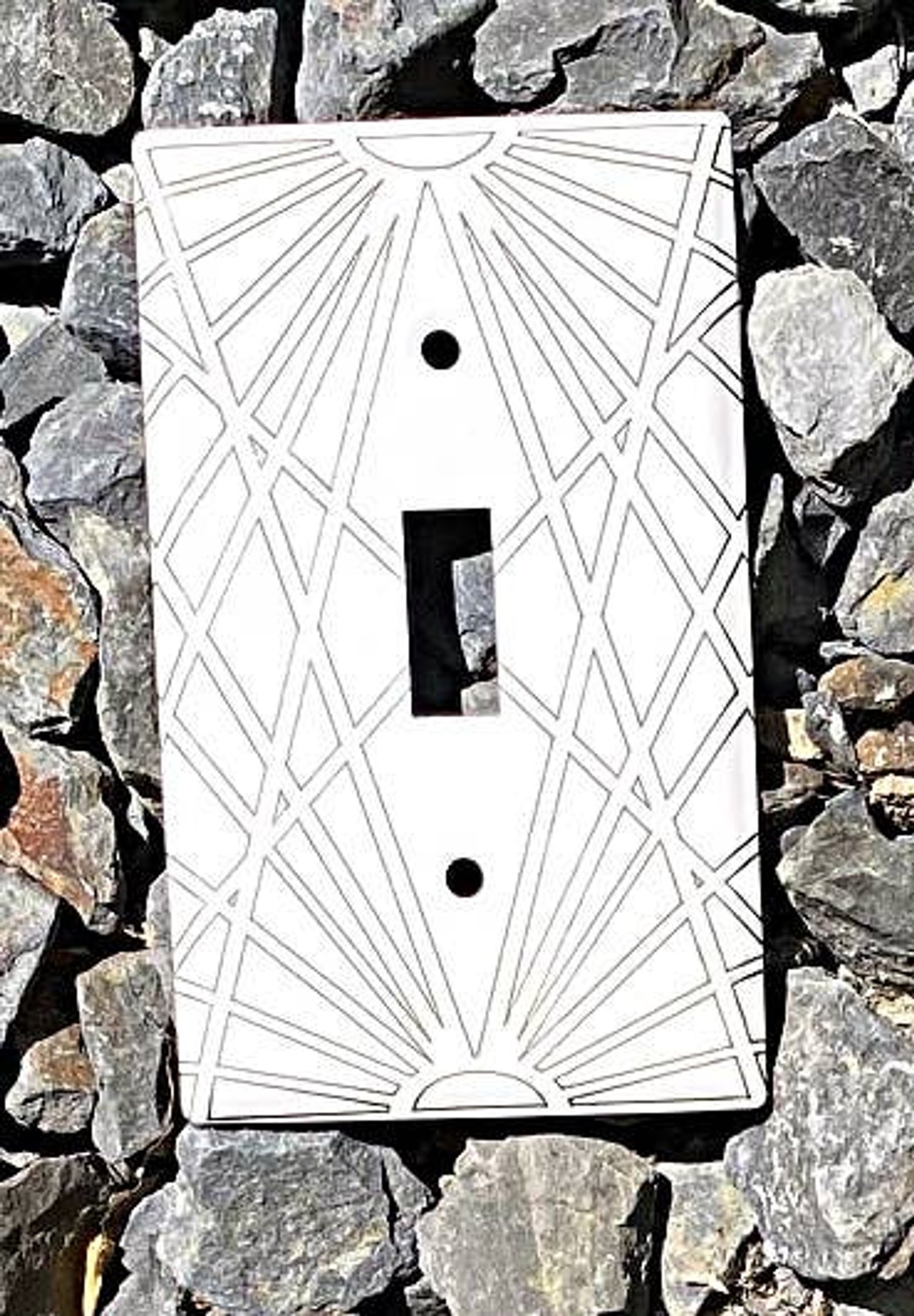 Laser-Etched Steel Switch Plate Cover by Dawn Lombard Glass