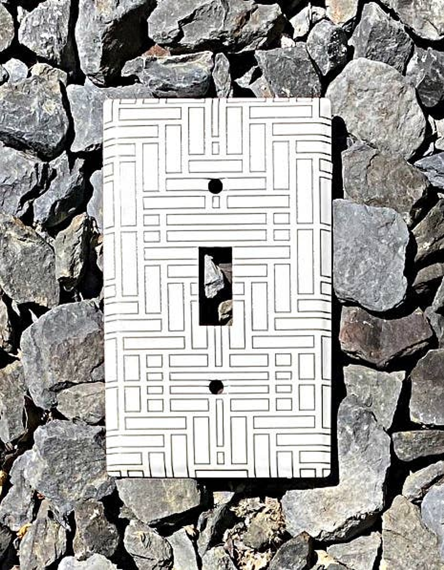 Laser-Etched Steel Switch Plate Cover by Dawn Lombard Glass