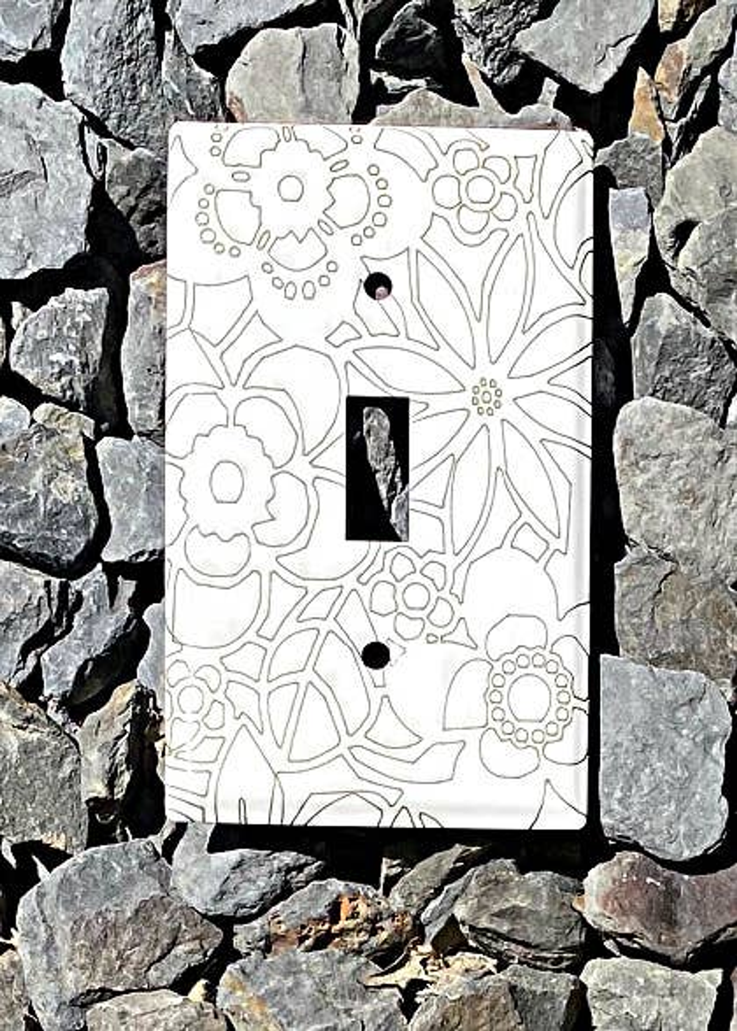 Laser-Etched Steel Switch Plate Cover by Dawn Lombard Glass