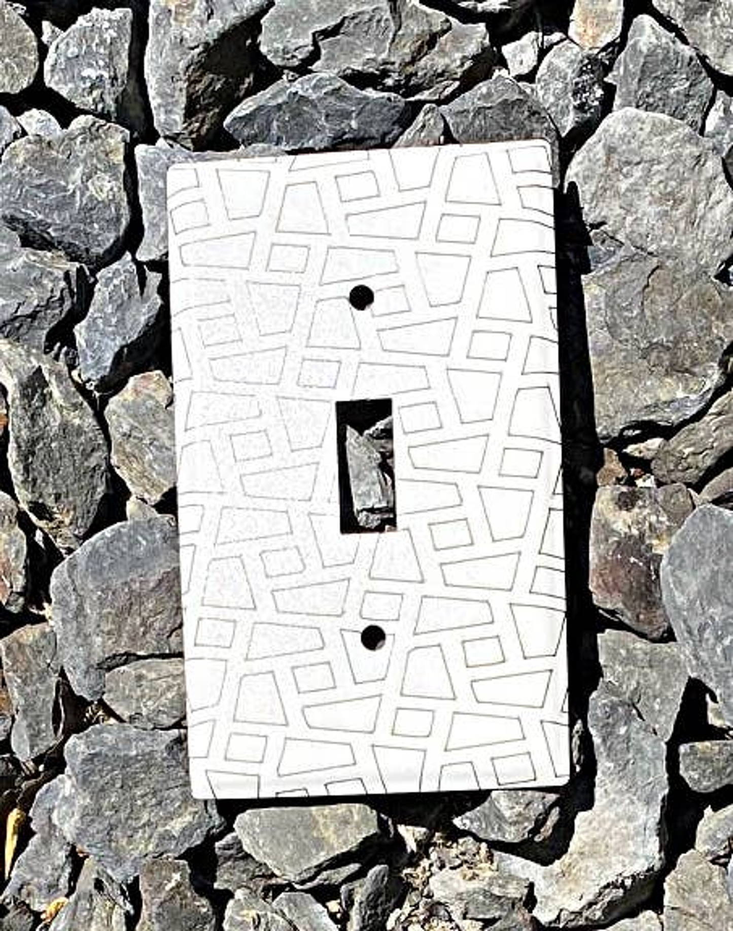 Laser-Etched Steel Switch Plate Cover by Dawn Lombard Glass
