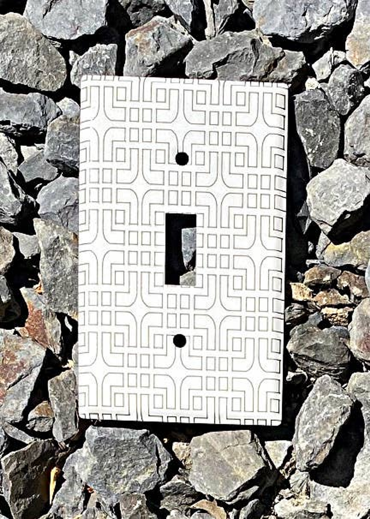 Laser-Etched Steel Switch Plate Cover by Dawn Lombard Glass