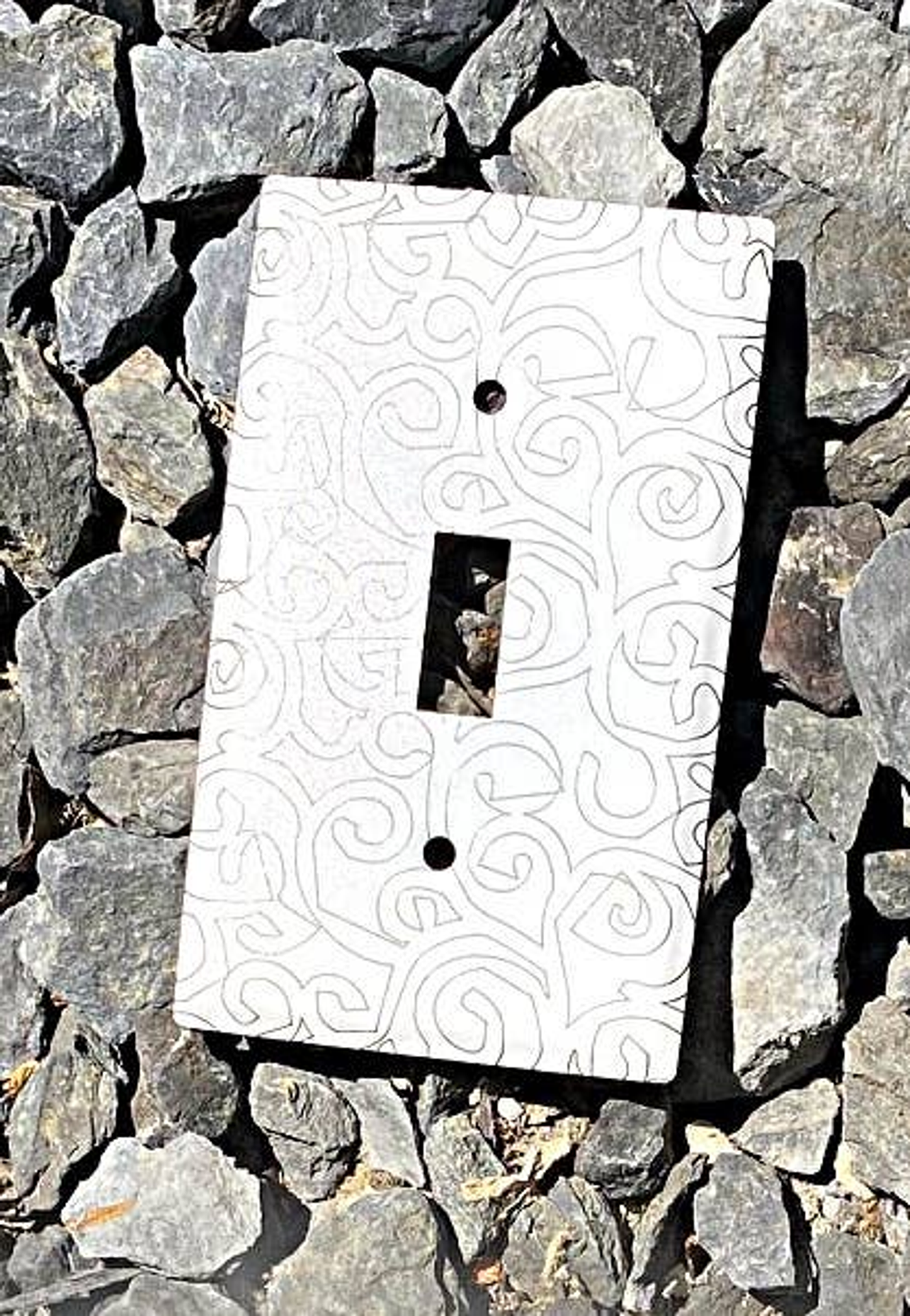 Laser-Etched Steel Switch Plate Cover by Dawn Lombard Glass