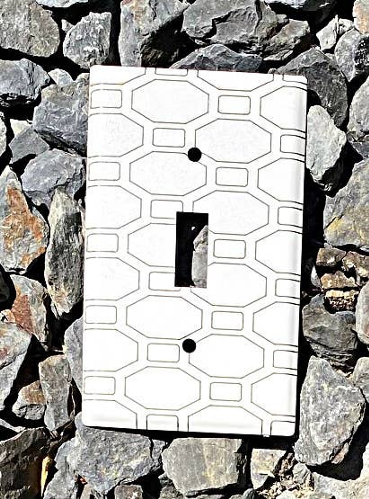 Laser-Etched Steel Switch Plate Cover by Dawn Lombard Glass