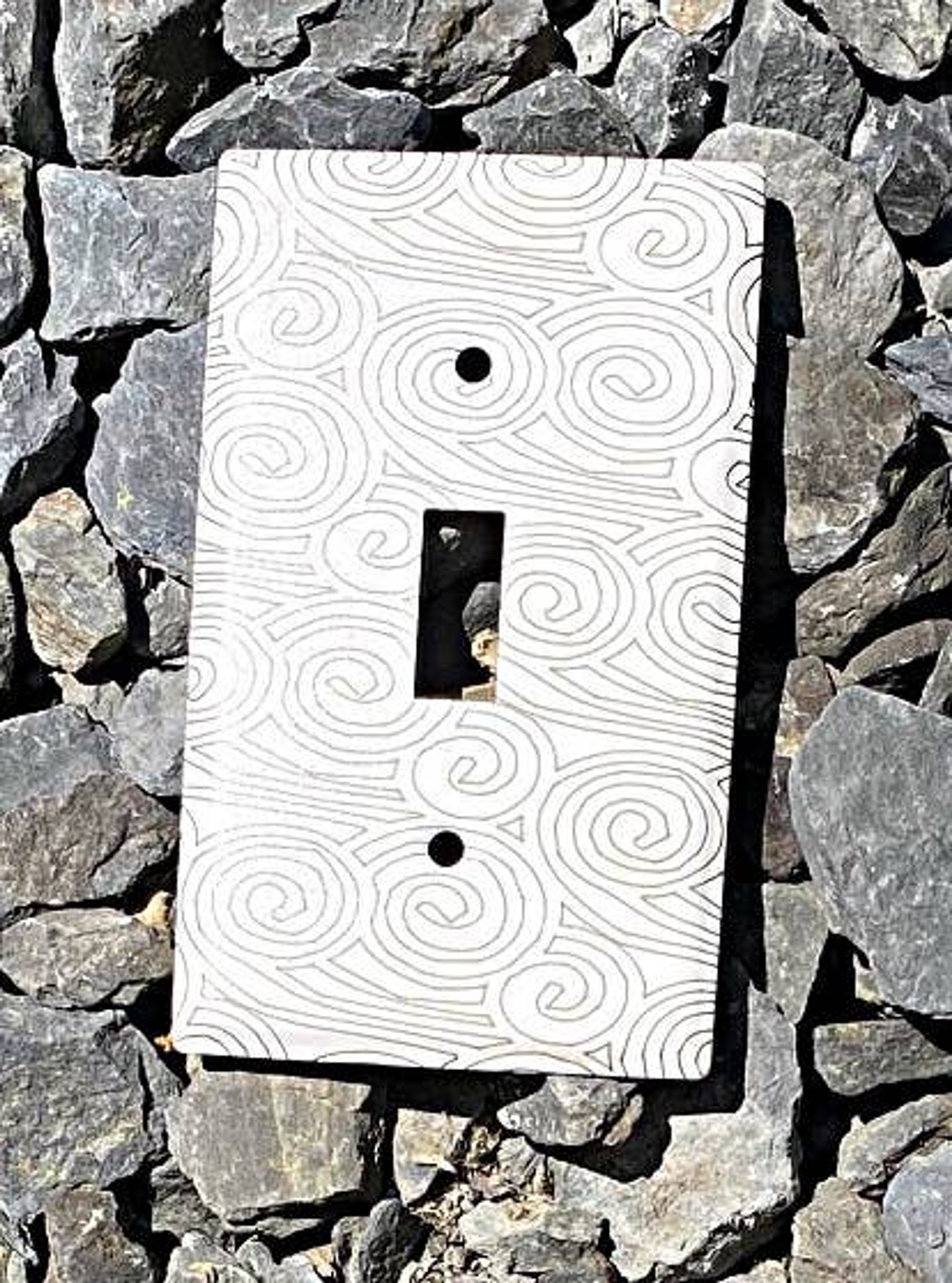 Laser-Etched Steel Switch Plate Cover by Dawn Lombard Glass