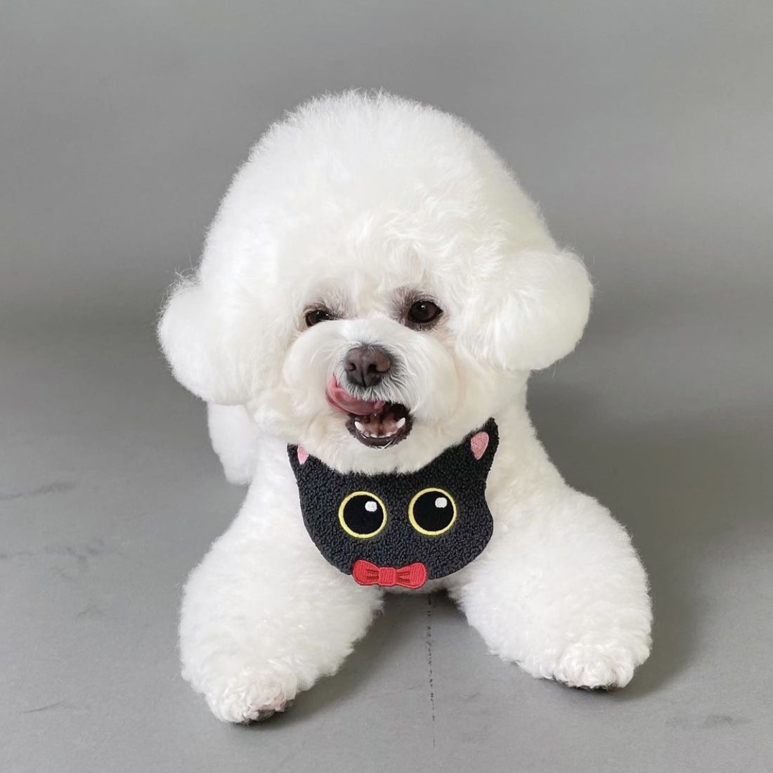 Cute Halloween Dog Apron product image 8