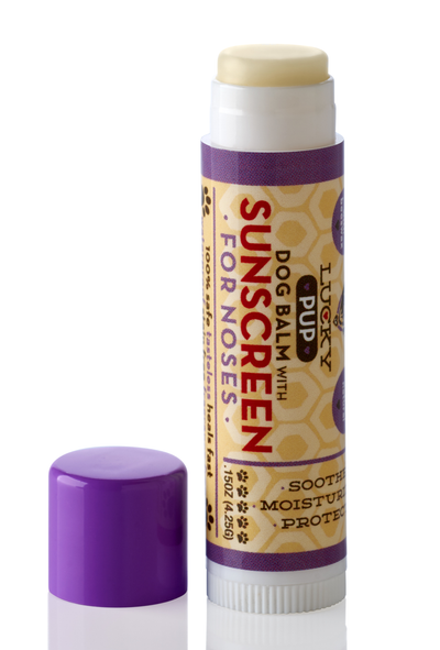 Natural Dog Nose Balm with Sunscreen