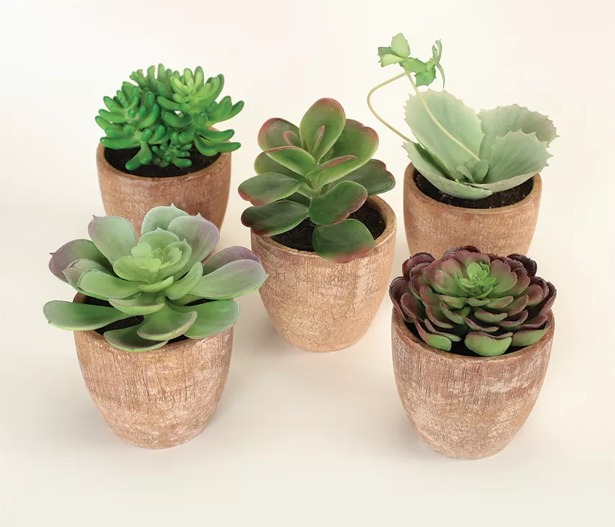 Potted Faux Succulents, Set of 5 (4-7.5 in)