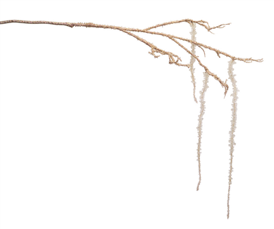 Icy Branch with Icicle, Set of 6