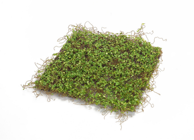 Moss Mat, Set of 12 (12" Square)