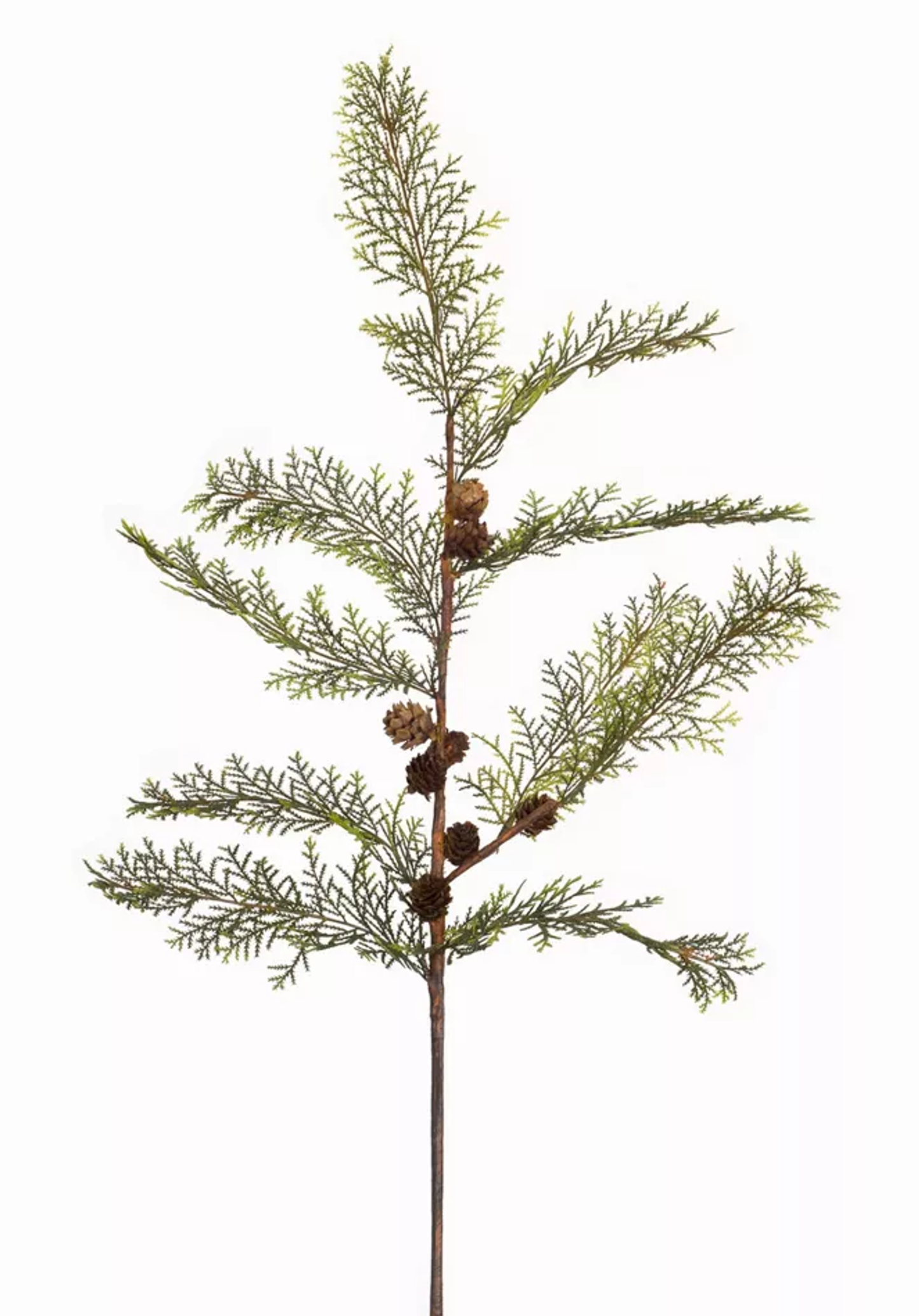 Cypress Spray with Cone, Set of 6 (26"H)
