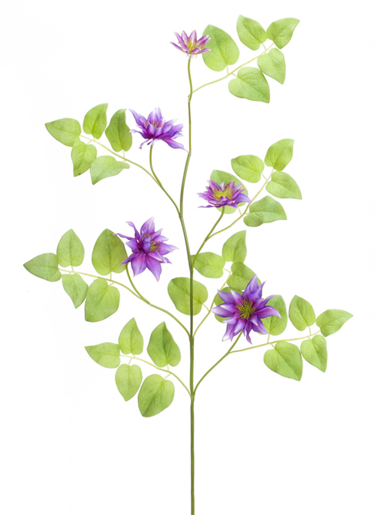 Clematis Vine (Set of 12) 30"L Polyester/Plastic