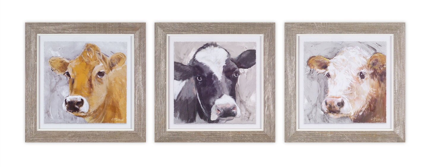 Framed Cow Prints, Set of 3, 10"H