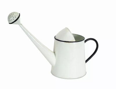 Melrose Iron Watering Can, 12.5" H