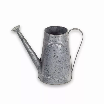 Rustic Metal Watering Cans, Set of 2 (11.25in)