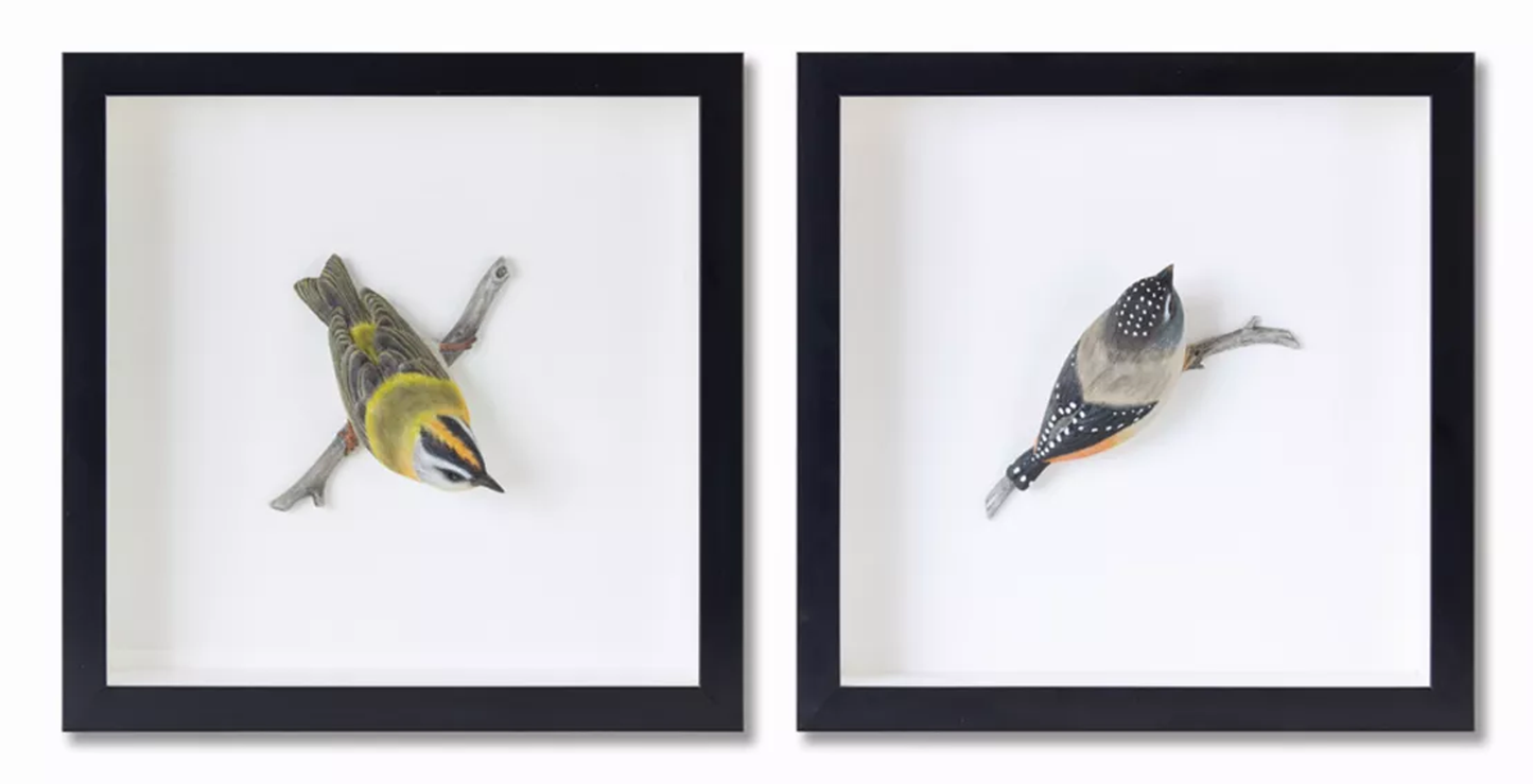 Bird Shadow Box Wall Art Set of 2, 12"