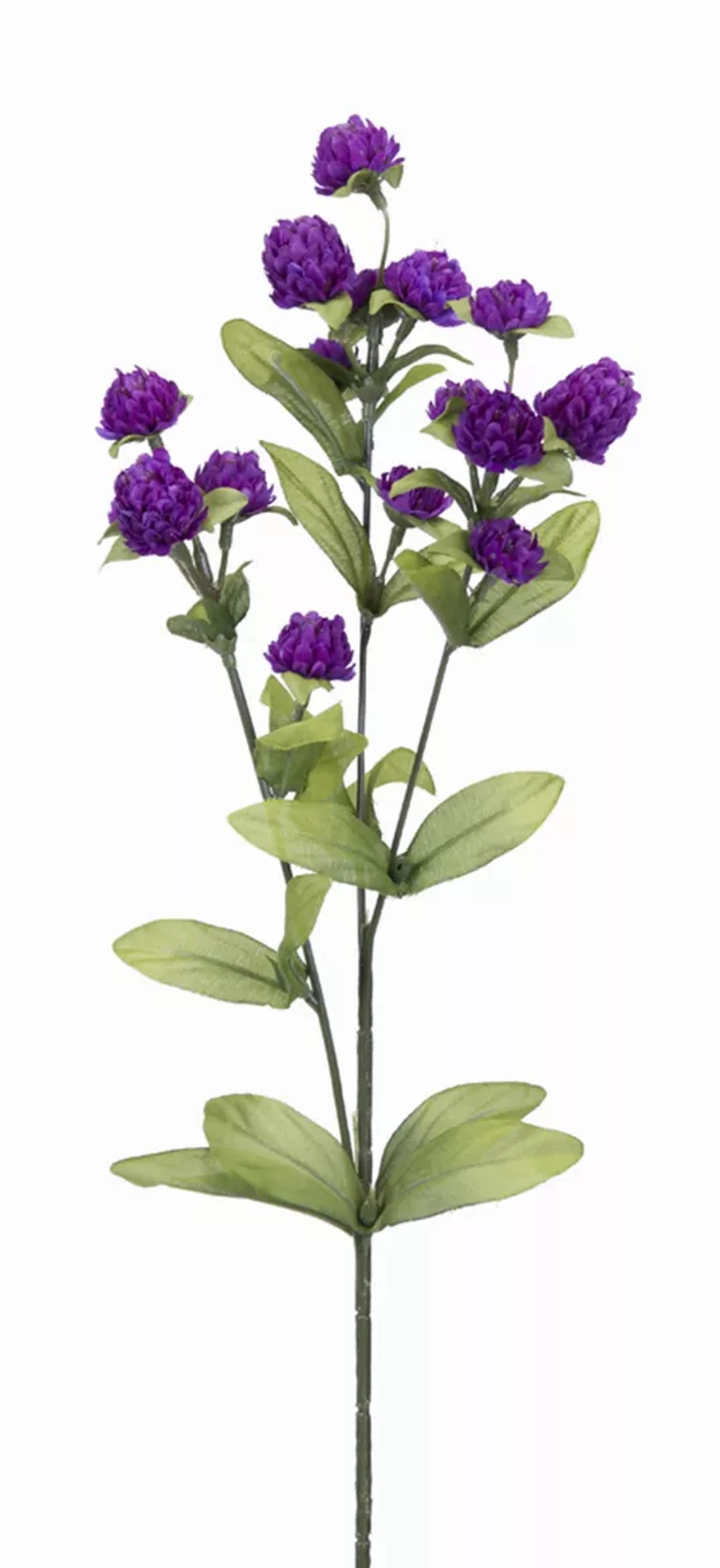 Wild Clover Stems, Set of 12 (27in)