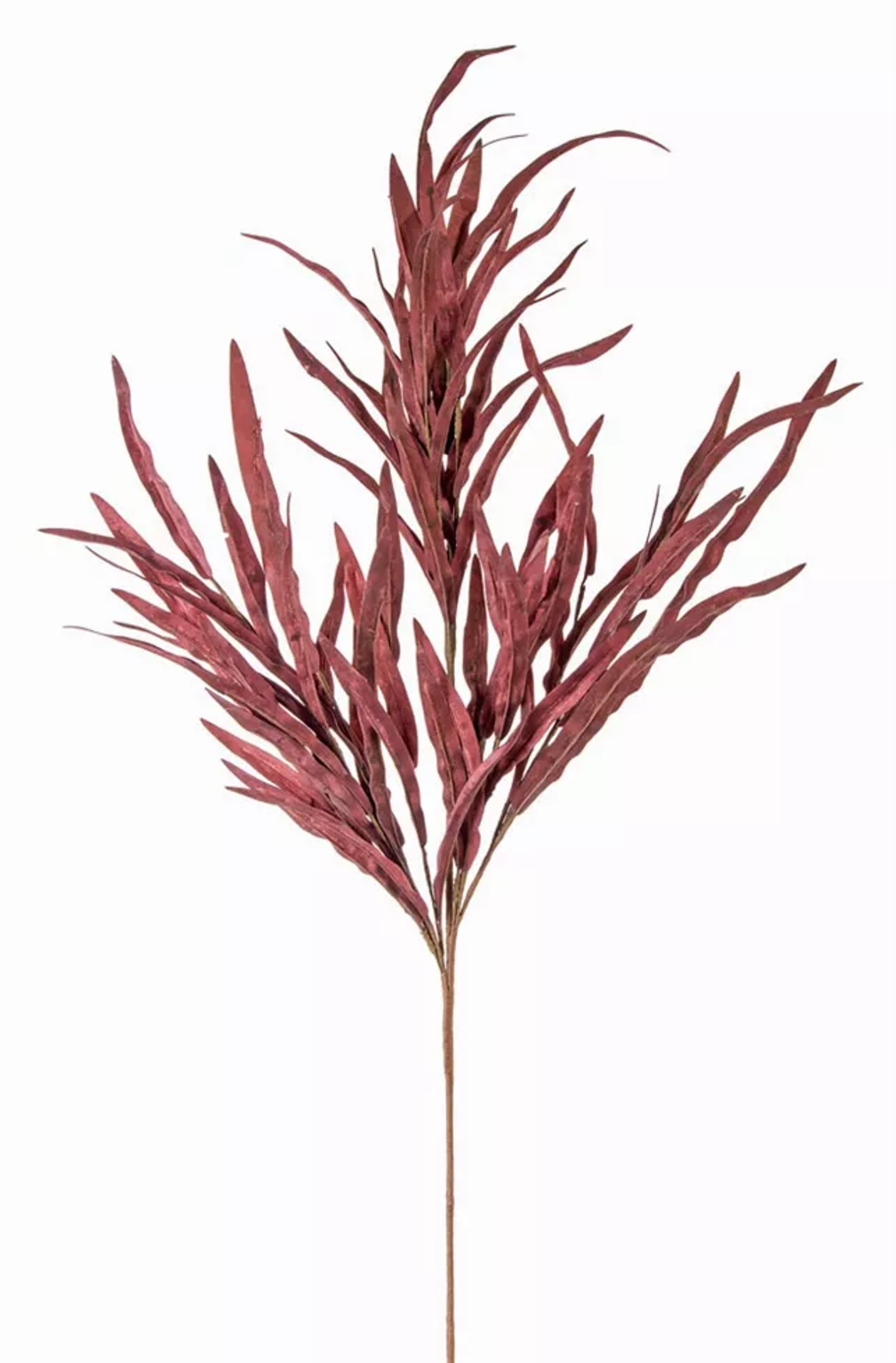 Leaf Spray Stems, Set of 12 (38in)
