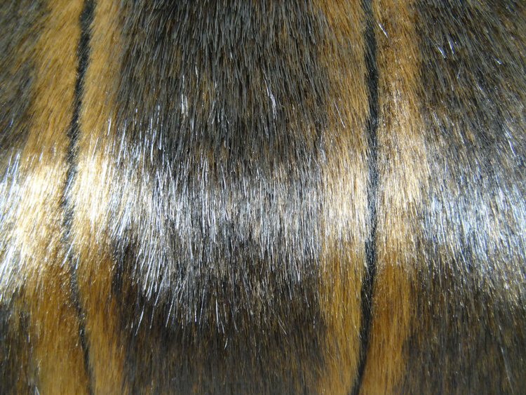 Plutus Brown Mink Faux Fur Luxury Throw Pillow